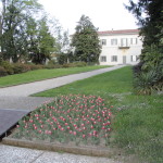 villa con tulipani_05-04-11_0001